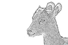 mouflon פּרינטאַבאַל קאַלערינג בלעטער